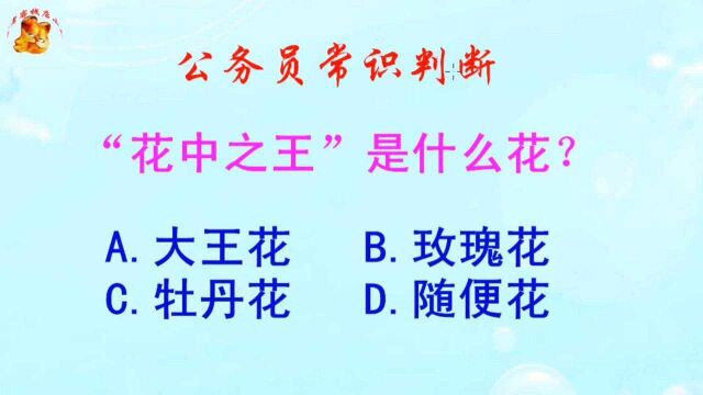 公务员常识判断,“花中之王”是什么花?长见识啦