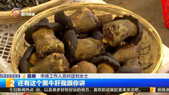 市民买菌“闹乌龙”野生牛肝菌如何甄别?