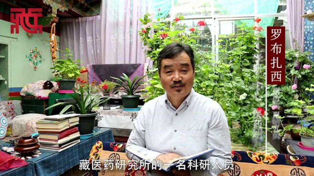 【祝福美丽西藏,开启幸福征程】西藏高质量发展令人赞叹