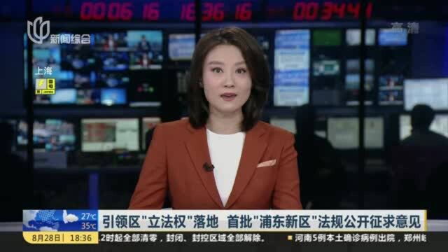 引领区“立法权”落地 首批“浦东新区”法规公开征求意见