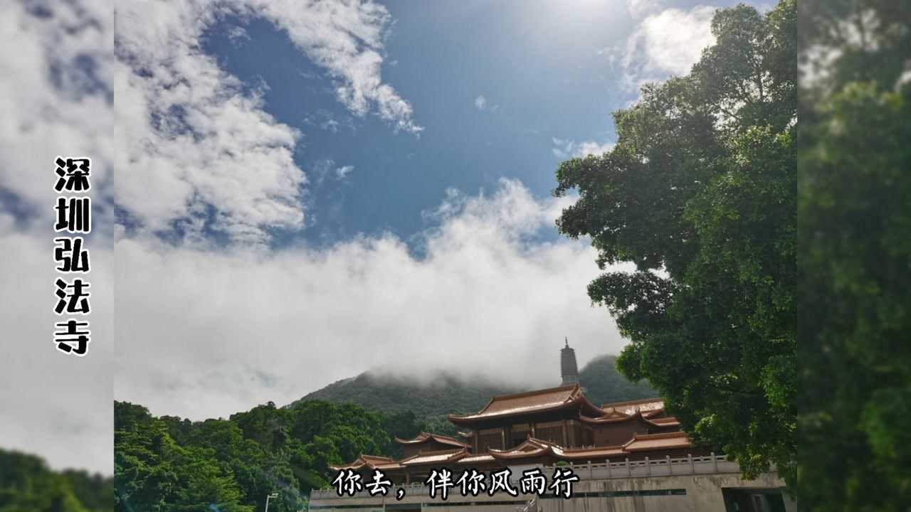 山外狂风暴雨,唯独深圳弘法寺晴空万里|禅茶一味,顺缘自在