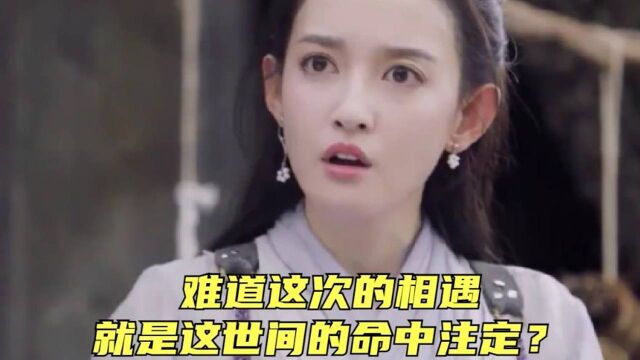 玲珑狼心:你我倾心相遇,就是这世间的命中注定