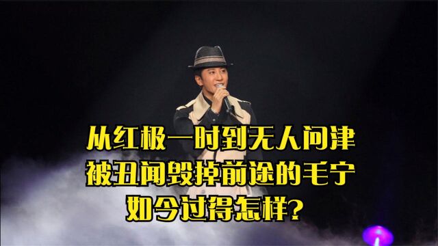 从红极一时到无人问津,被丑闻毁掉前途的毛宁,如今过得怎样?