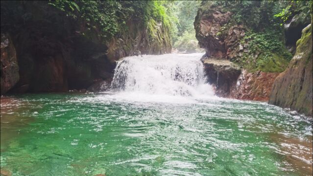 水至清却有鱼,饮之甘甜,原生态山溪,避暑玩水地,荥经凤凰谷