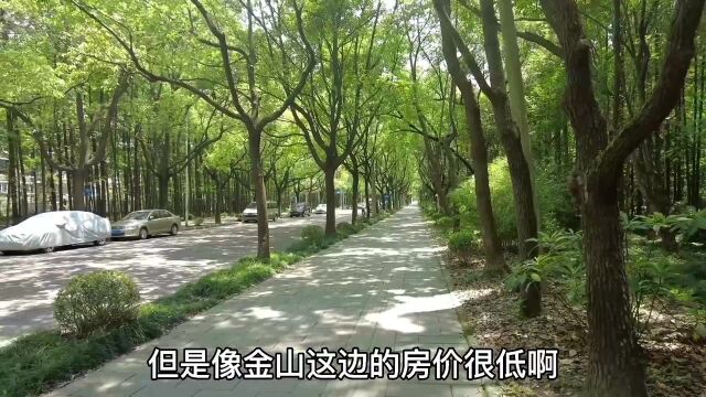 上海房价最低的金山石化,本地大姐说随着环境越来越改善也会上涨