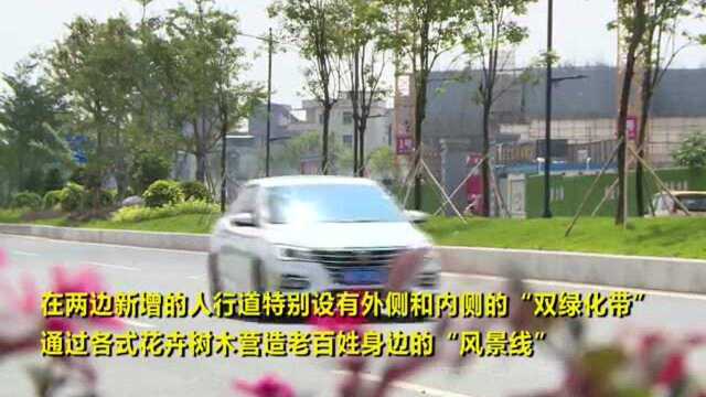 广州增城西宁路(东洲段)临江大道至东洲大道段通车