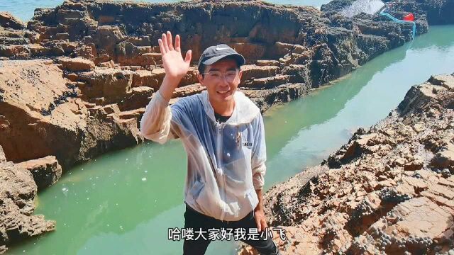 500平“龙王坑”狂抽6个小时,坑中鱼获顶过去十个水坑,太罕见