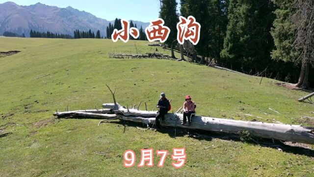 实拍距乌鲁木齐60多公里,大美的小西沟,附自驾线路攻略