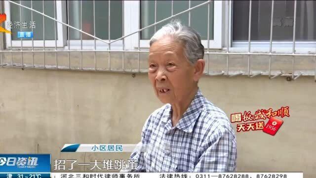 石家庄:小区垃圾遍地没人管,居民有意见!产权单位给出理由