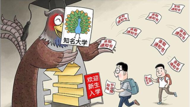 因为教育机构虚假宣传导致学生浪费金钱和青春,怎么担责?