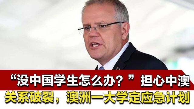 “没中国学生怎么办?”担心中澳关系破裂,澳洲一大学定应急计划