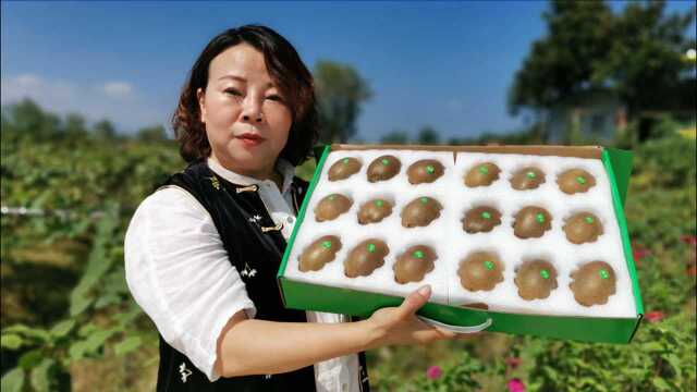 汉中女老板种特殊猕猴桃,1斤30元不预定买不着,别人不能随便种