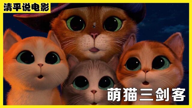 又萌又搞笑!猫咪卖萌大比拼,谁能萌番对面谁就赢#电影种草指南大赛#