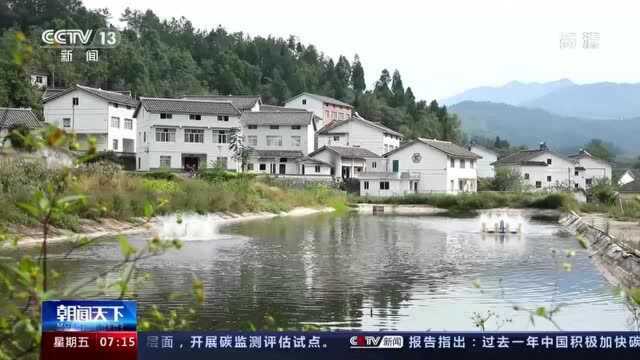 四川广元:脱贫户与乡村富民产业良性循环 形成“一村一品”产业链条完善