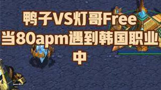 鸭子VS灯哥Free 当80APM对战韩国16强职业(2/3)