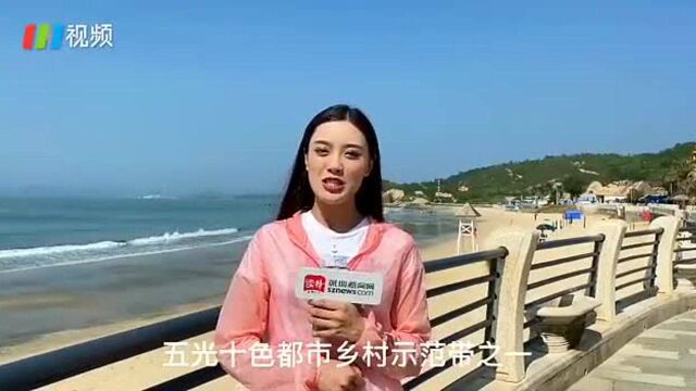 鲘门服务区即将谢幕:“心灵地标”见证一座新城崛起!