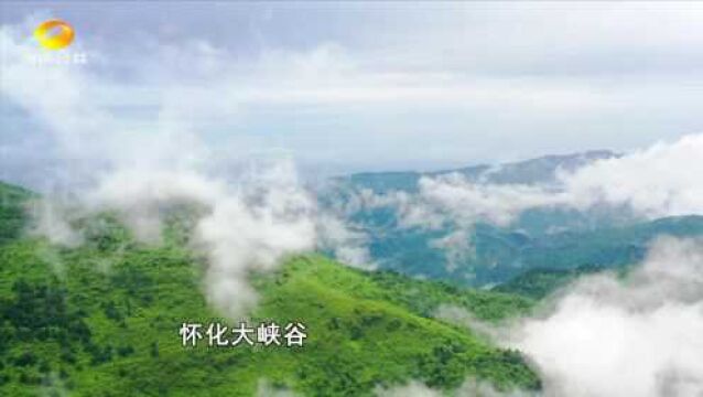 怀化鹤城:发展全域旅游 助力乡村振兴