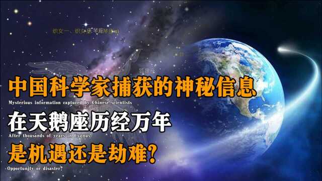 中国科学家捕获的神秘信息,在天鹅座历经万年,是机遇还是劫难?