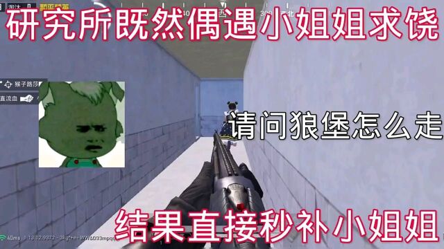 迷路的小灰灰又是什么梗哈哈 问题来了你们抓过极品公主吗