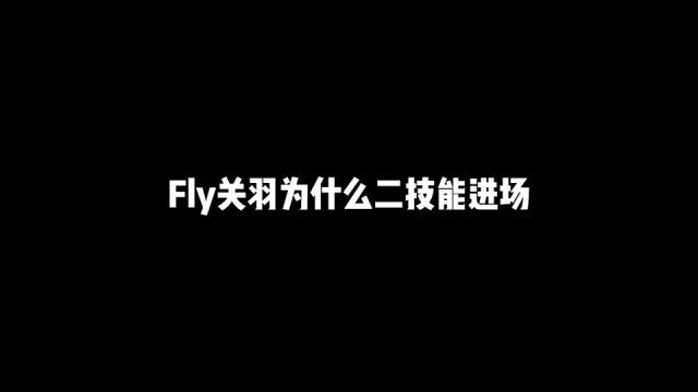 这就是fly的细节