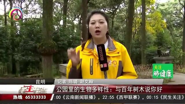 公园里的生物多样性:与百年树木说你好