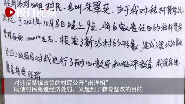 村民违反秸秆禁烧政策,手写检讨书全村张榜“出洋相”——石首乡村治理有妙招