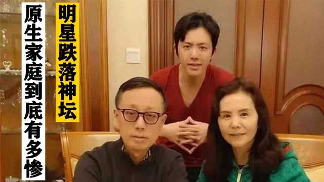 李云迪跌落神坛,根本原因和父母教育缺失有关,原生家庭太惨!