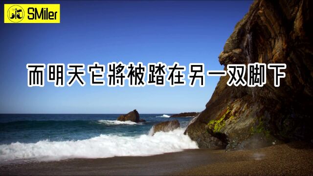 258《租来的房子》弗朗索瓦兹ⷮŠ萨冈【为你读诗 258】