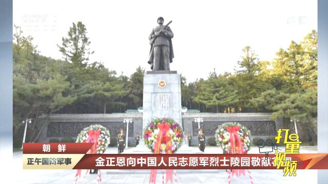 金正恩向中国人民志愿军烈士陵园敬献花圈