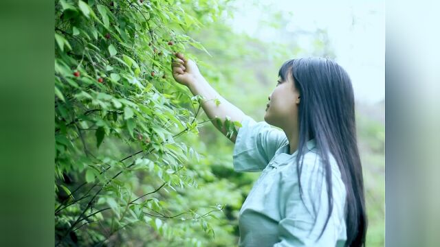 这个野生水果是多少人童年的美好记忆,味道鲜美