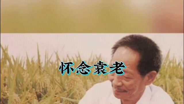 改编版之《怀念袁老》,是他用一生的心血换来的如今