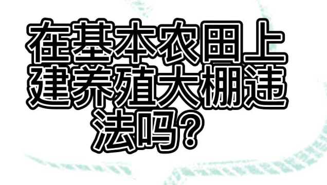 在基本农田上建养殖大棚违法吗?