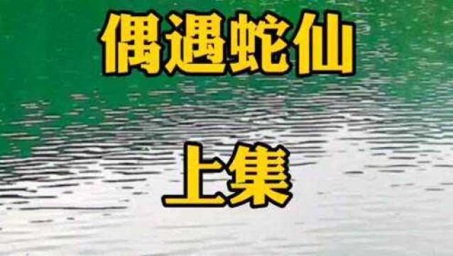 民间故事  偶遇蛇仙