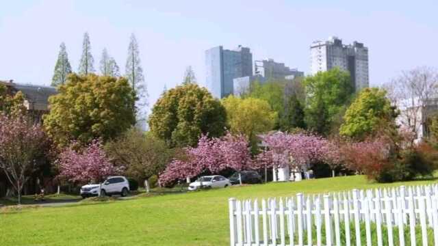 中国科学技术大学校园风景