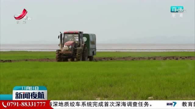 黑鹤现身湖区 滨湖地区加大巡查保护力度