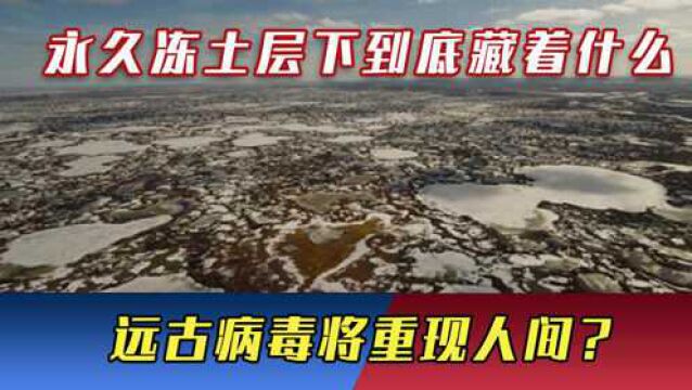 地球永久冻土层下到底藏着什么,远古病毒将重现人间?后果不堪设想