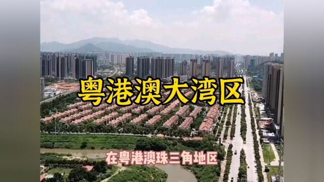 在深圳打工,花100多万在惠州大亚湾买房,住不了也卖不出去,网友:真傻!