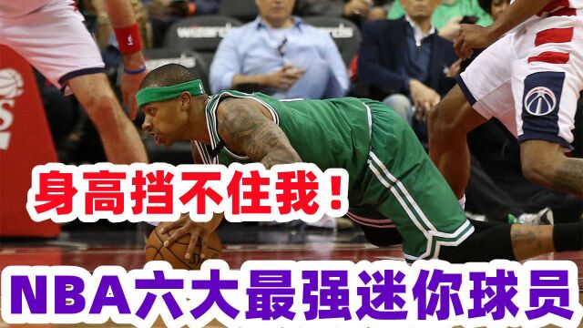 身高挡不住热爱 NBA六大最强迷你球员 小托马斯狠励志博格斯最强160!