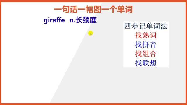 怎么背诵英文单词giraffe比较快