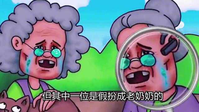 智力测试:图中谁是笨蛋?智商越高猜的越准!