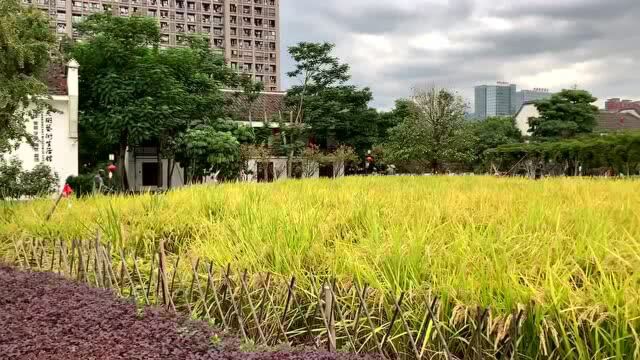 闽侯是福建省最靠近省会城市的县