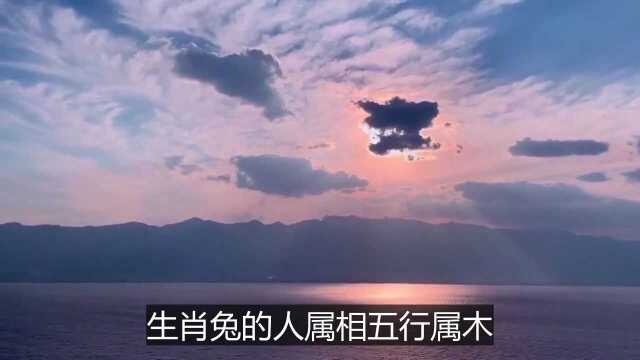 11月起,事业一马平川,财气不小,富贵如雨的生肖