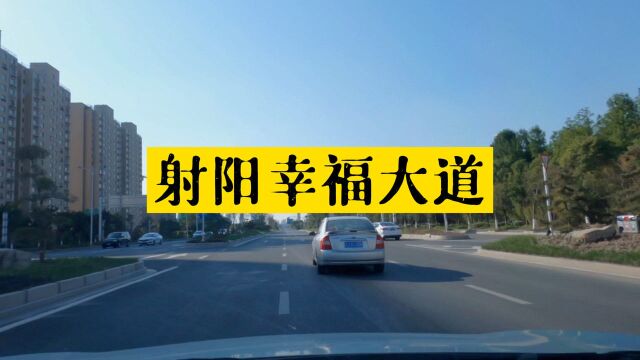 射阳幸福大道,六车道很宽广,路两侧绿化和楼房都很有大城市感觉