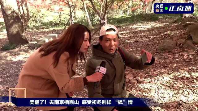 美翻了!去南京栖霞山 感受初冬别样 “枫”情