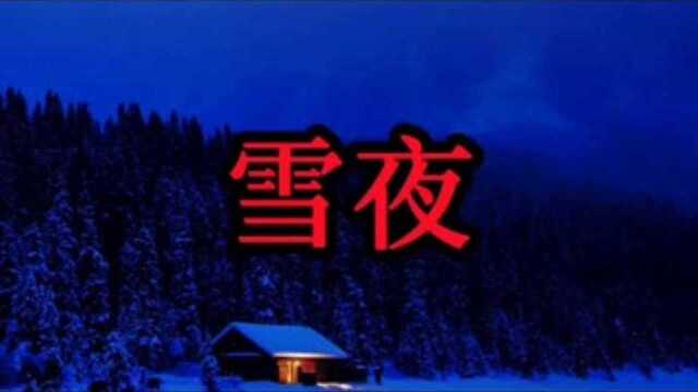 恐怖故事精选之雪夜