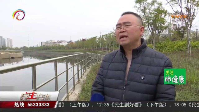 官渡区河道建设出成效,大清河被评为市级美丽河道