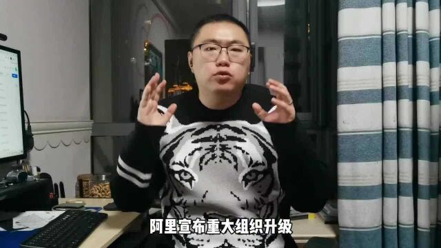 升级“多元化治理”能救阿里吗,转型中的阿里丢掉了大平台的格局