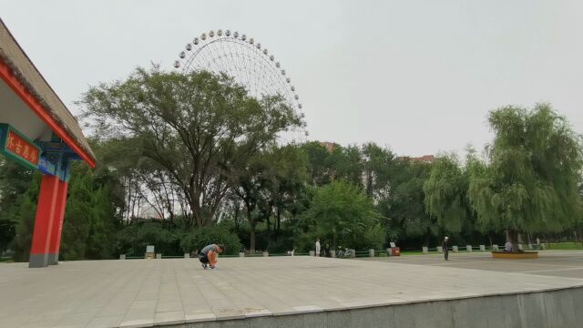 旅游博主海涛逛一下,沈阳市区最大的公园,万泉公园