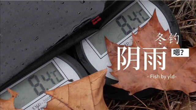 冬季阴雨天好钓鱼吗?老道用“实钓+实测”来判明真相,一看就懂