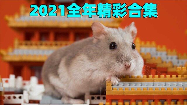 2021年度精彩视频名场面:这才是猛男该看的视频!